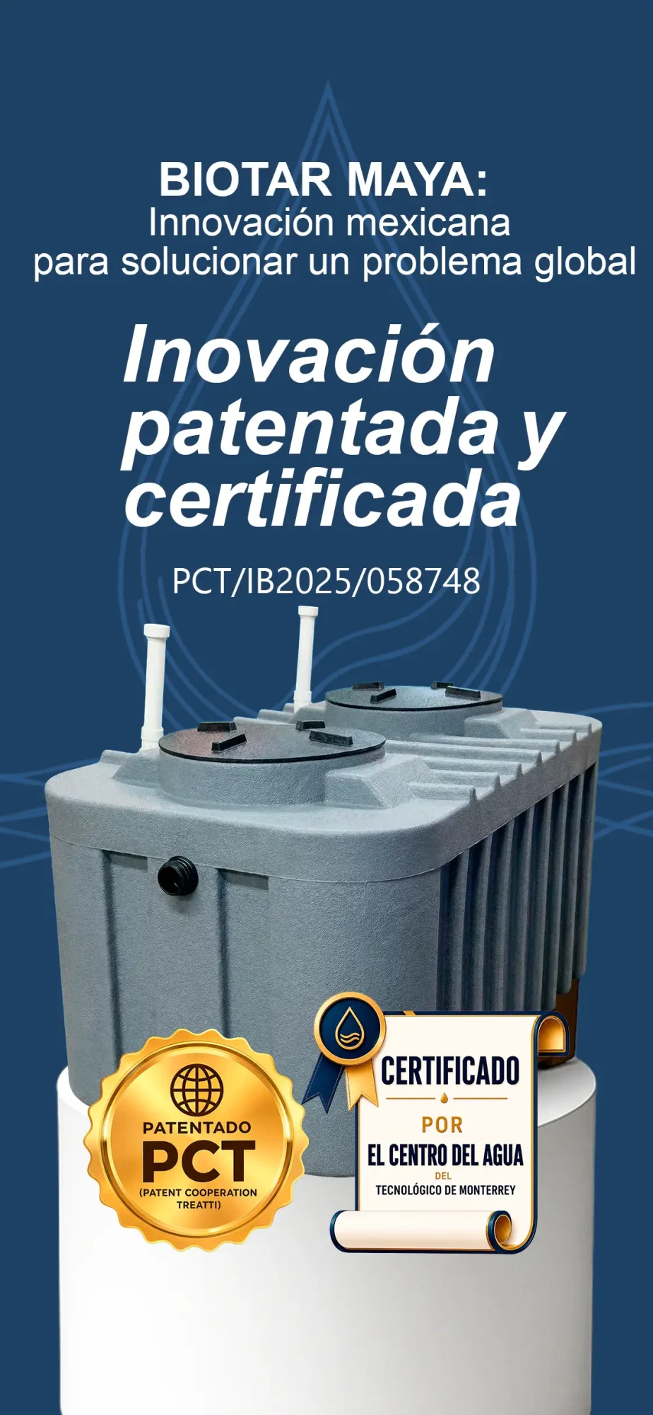 PLANTILA REEL SITIOS WEB vertical maya